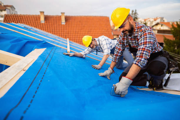 Best Commercial Roof Installation  in Scandia, MN