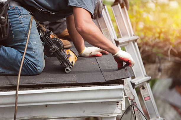 Professional Roofing Contractor in Scandia, MN