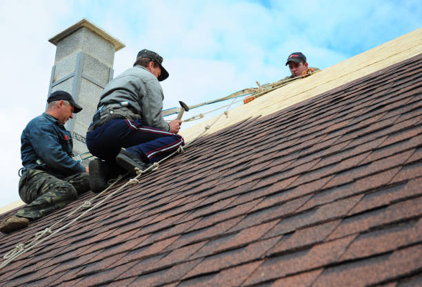 Best Flat Roof Repair Services  in Scandia, MN